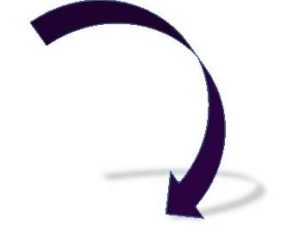seta