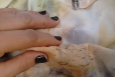 Imagem de mão feminina durante trabalho na máquina de costura