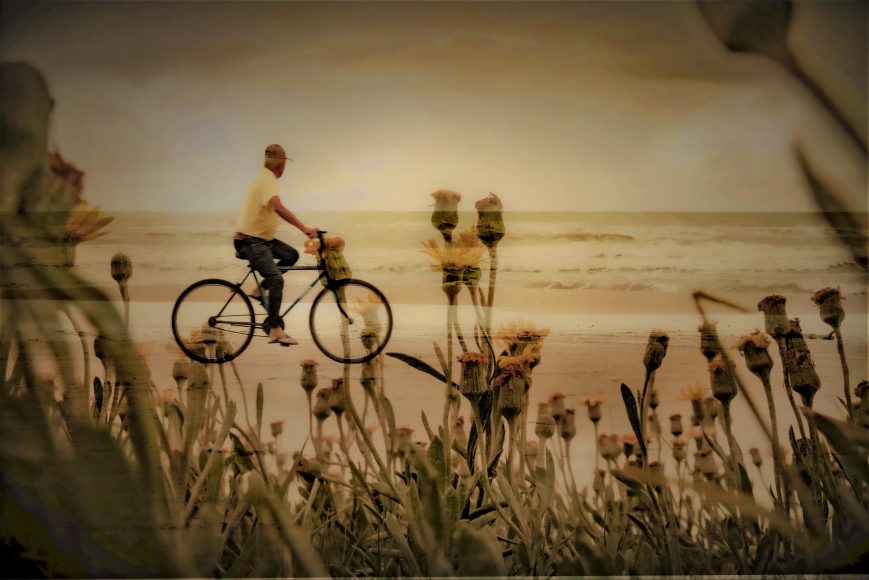 bicicleta e flores