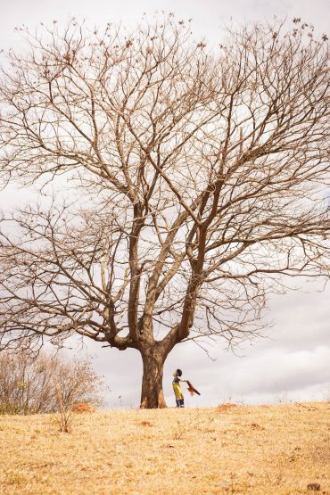 Paisagem cerrado mineiro - Arabescko
