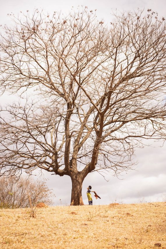 Paisagem cerrado mineiro - Arabescko