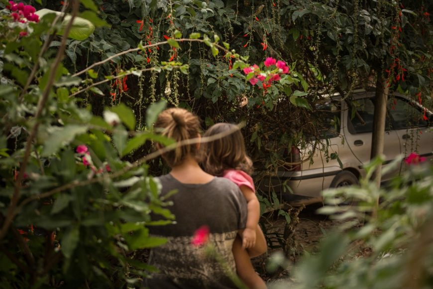 Passeio no seu colo. Conta sobre flores, folhas e bichinhos. 