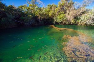 Balneário Municipal de Bonito - Foto Secretaria de Turismo de Bonito