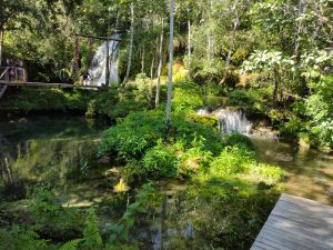 Bonito - MS - trilha Parque das cachoeiras
