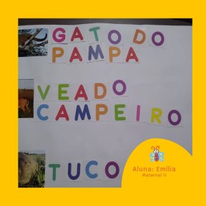 gato do pampa, veado campeiro, tuco-tuco.