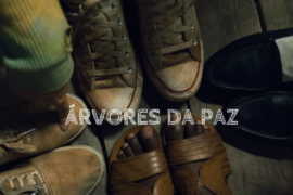 árvores da paz