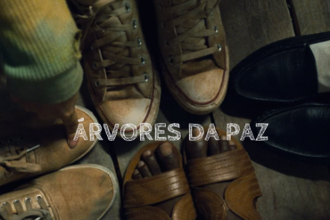 árvores da paz