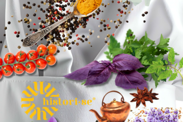 Colagem com imagens que lembram a prática da culinária